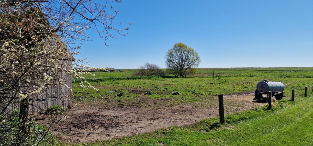 Ferienwohnung 'Gelting' - Refugium Pottloch Ostsee Kronsgaard 외부 사진